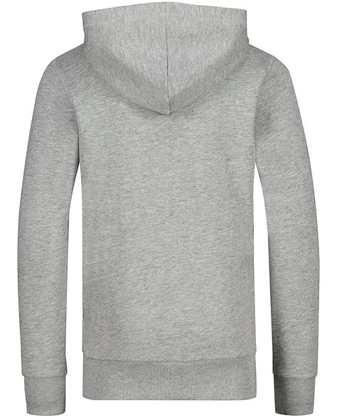 Grijze hoodies en sweaters (106) 